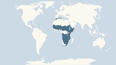 Map showing the distribution of the Serval taxa