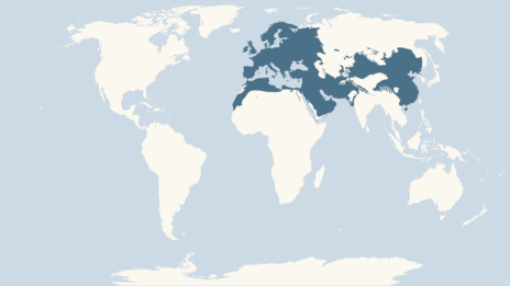 Map showing the distribution of the Skylark taxa