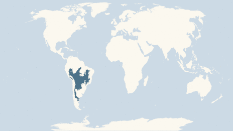 armadillo range