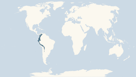 Map showing the distribution of the Spectacled bear taxa