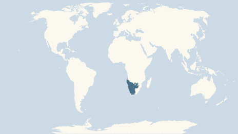 Map showing the distribution of the Springbok taxa