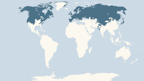 Map showing the distribution of the Stoat taxa