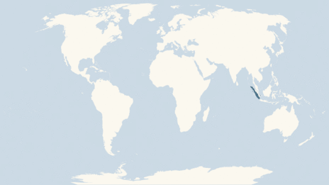 Map showing the distribution of the Sumatran orangutan taxa