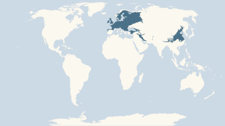 Map showing the distribution of the Tawny owl taxa