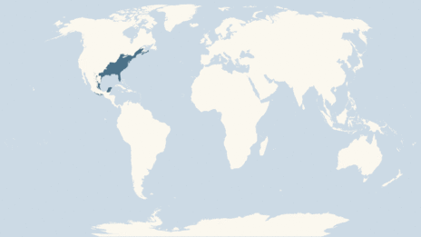 Map showing the distribution of the Eastern box turtle taxa