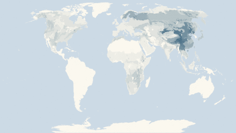 Map showing the distribution of the Tits and chickadees taxa