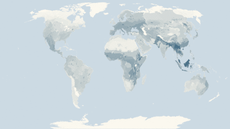Map showing the distribution of the Vesper bats taxa