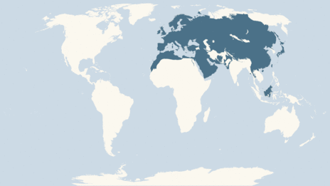 Map showing the distribution of the Water rail taxa