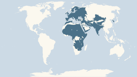 Map showing the distribution of the Marsh harrier taxa