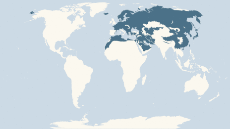 Map showing the distribution of the White-tailed sea eagle taxa