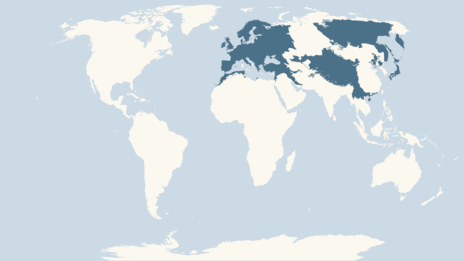 Map showing the distribution of the Dipper taxa