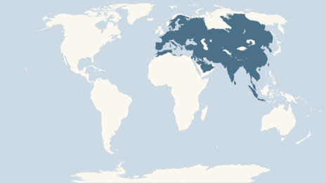 Map showing the distribution of the Wild boar taxa