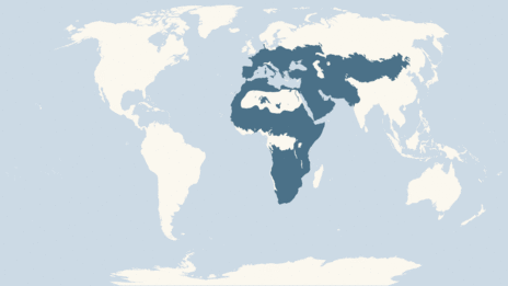 Map showing the distribution of the Wildcat taxa