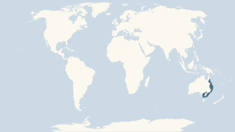 Map showing the distribution of the Yellow-bellied glider taxa