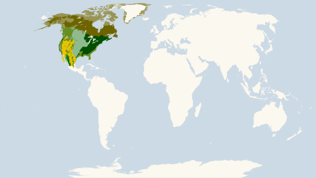 Map showing the location of the Nearctic ecozone