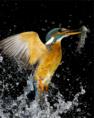 Life in slow motion