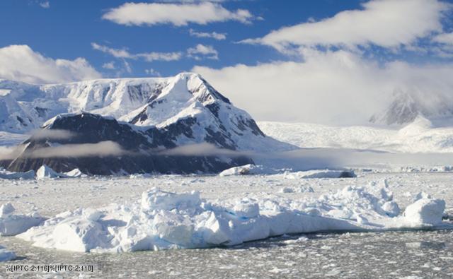 Antarctic Wildlife Pictures