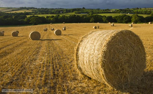 Uk Farmland