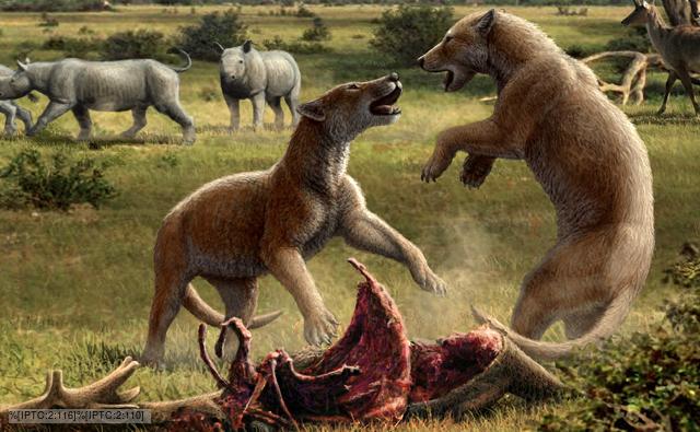 Bear Dogs Prehistoric
