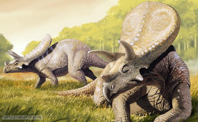 A pair of Torosaurus dinosaurs, that are now thought to be a form of triceratops