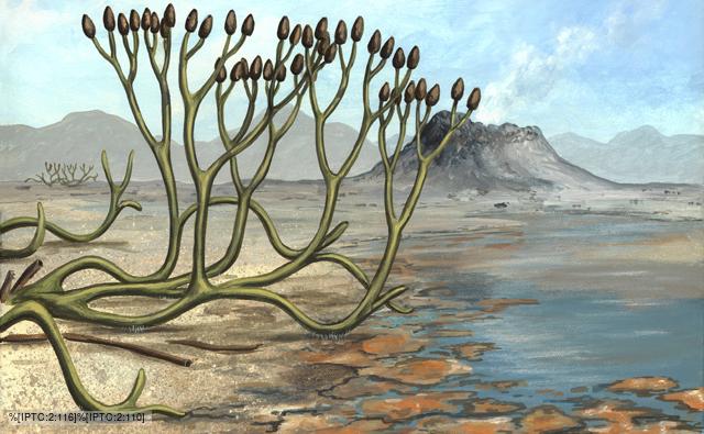 devonian period landscape