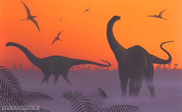 Apatosaurus dinosaurs, pterosaurs and ferns in a misty landscape at sunset