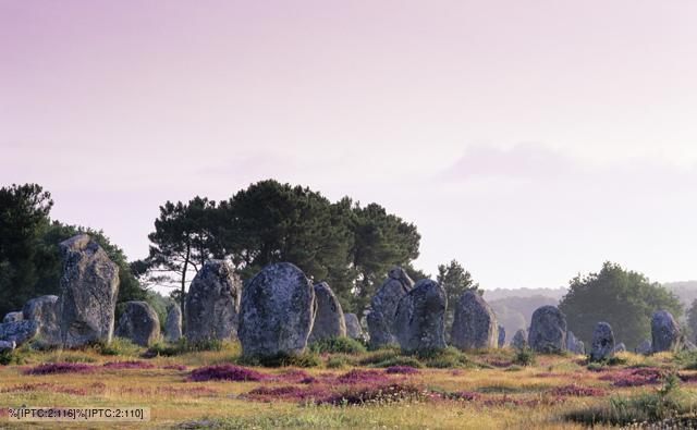 Neolithic stone alignments, Carnac, France