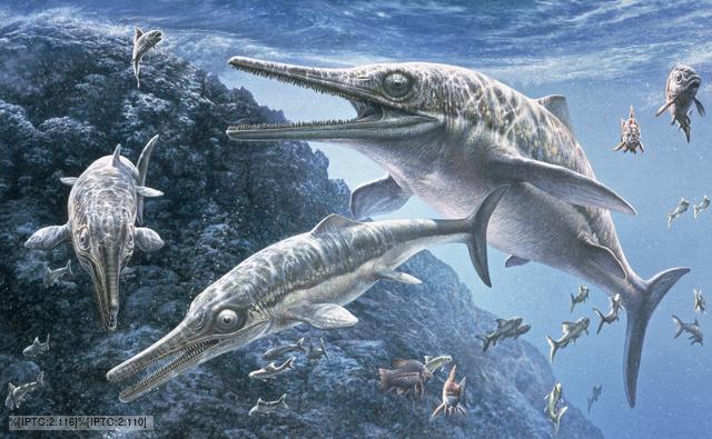Adult and young Temnodontosaurus surrounded by fish