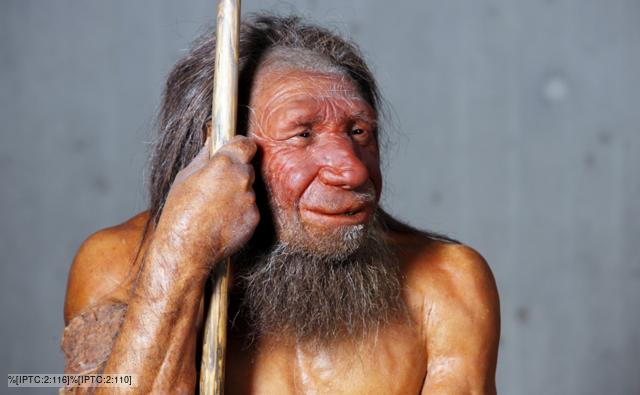 Reconstruction of a Neanderthal man