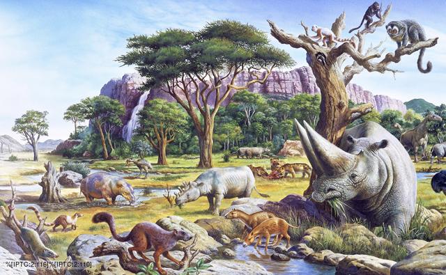 What is the Paleocene Epoch?