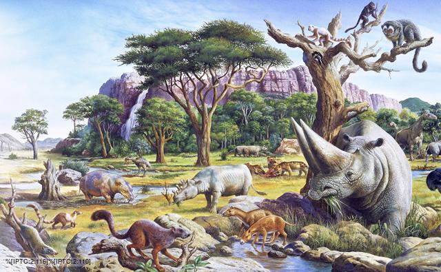 BBC Nature Palaeocene Epoch Videos News And Facts