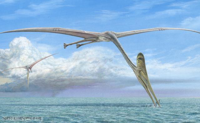 Pterosaurs catching fish from the sea