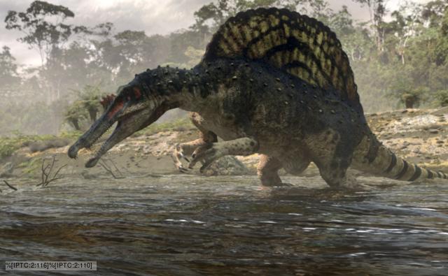 http://ichef.bbci.co.uk/naturelibrary/images/ic/credit/640x395/s/sp/spinosaurus/spinosaurus_1.jpg