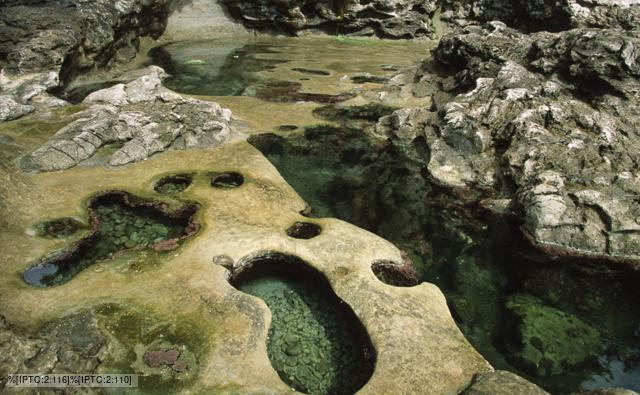 Tidal pools at low tide