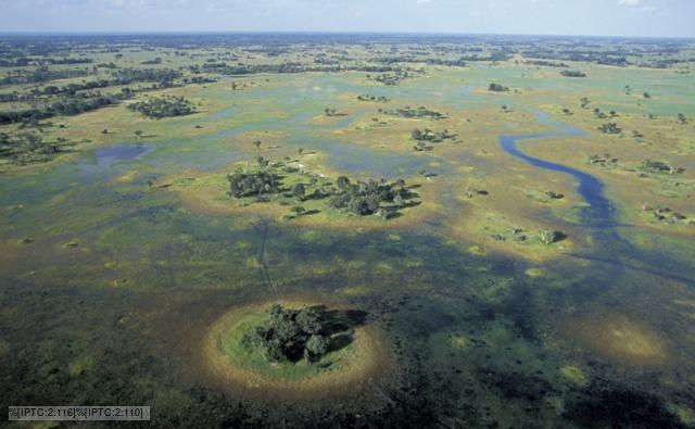 Okavango Delta in Botswana after the rainy season