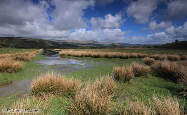 The Ynys-hir RSPB nature reserve in Wales.
