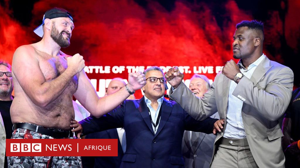 Francis Ngannou Qui Est Cet Ancien Migrant Sans Papiers Qui A Failli