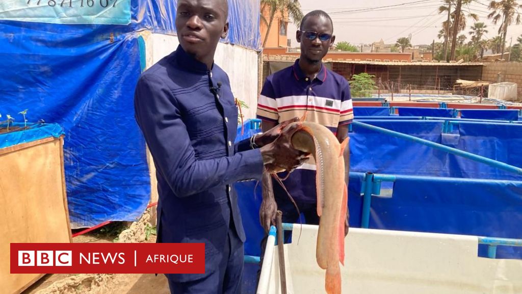 S N Gal Moussa S Ne L Homme Qui Veut Vulgariser L Aquaculture