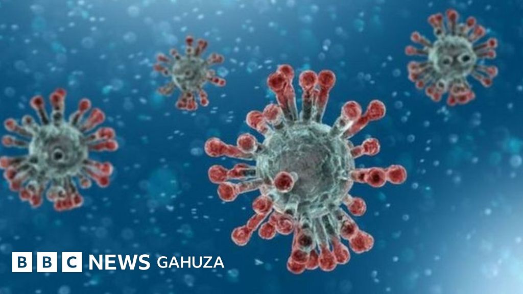 Indwara Iterwa Na Coronavirus Yiswe Covid 19 Bbc News Gahuza