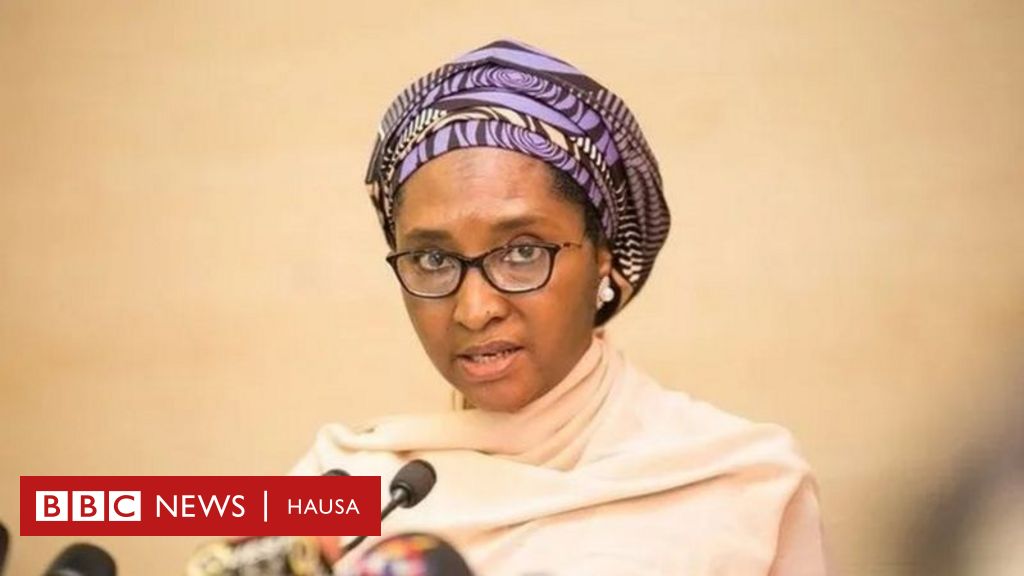 Abin da ya sa muka rinƙa ciyo bashi a shekaru 8 na mulkin Buhari BBC