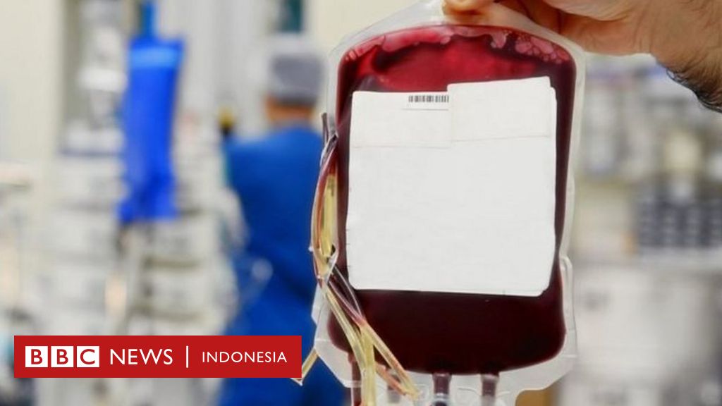 Ilmuwan Inggris Kembangkan Cara Produksi Sel Darah Merah Di