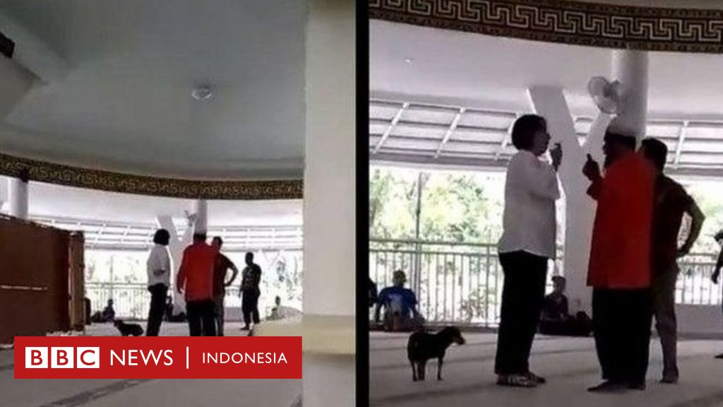 Kasus Anjing Masuk Masjid Terdakwa Divonis Bebas Karena Gangguan