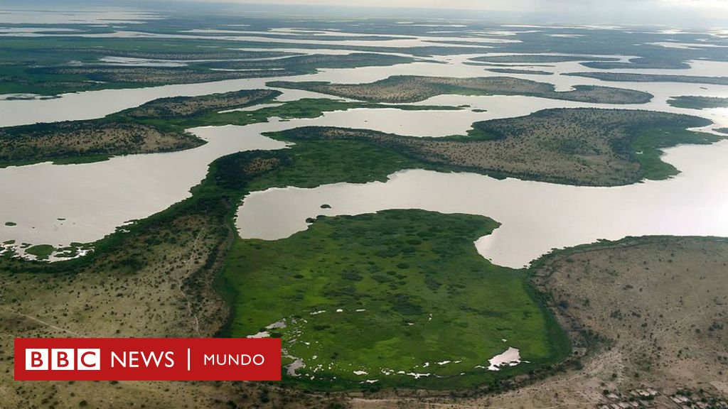 Por Qu El Lago Chad Uno De Los M S Grandes Del Mundo Ha Perdido M S