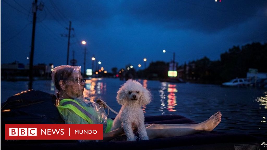 Las Im Genes M S Impactantes De La Semana Bbc News Mundo