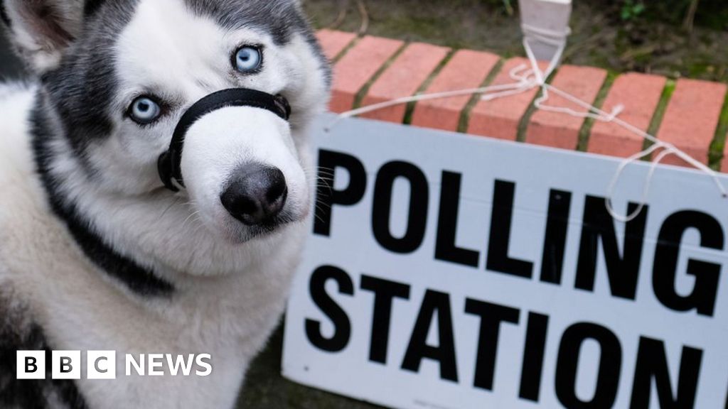 2021 elections: A simple guide to the Scottish, Welsh and local elections - 2021 elections: A simple guide to the Scottish, Welsh and local elections