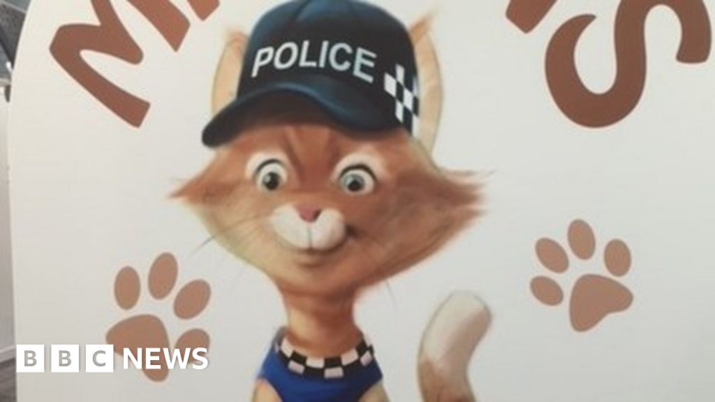 Durham Police Enlists Mittens To Be Long Arm Of The Paw Bbc News