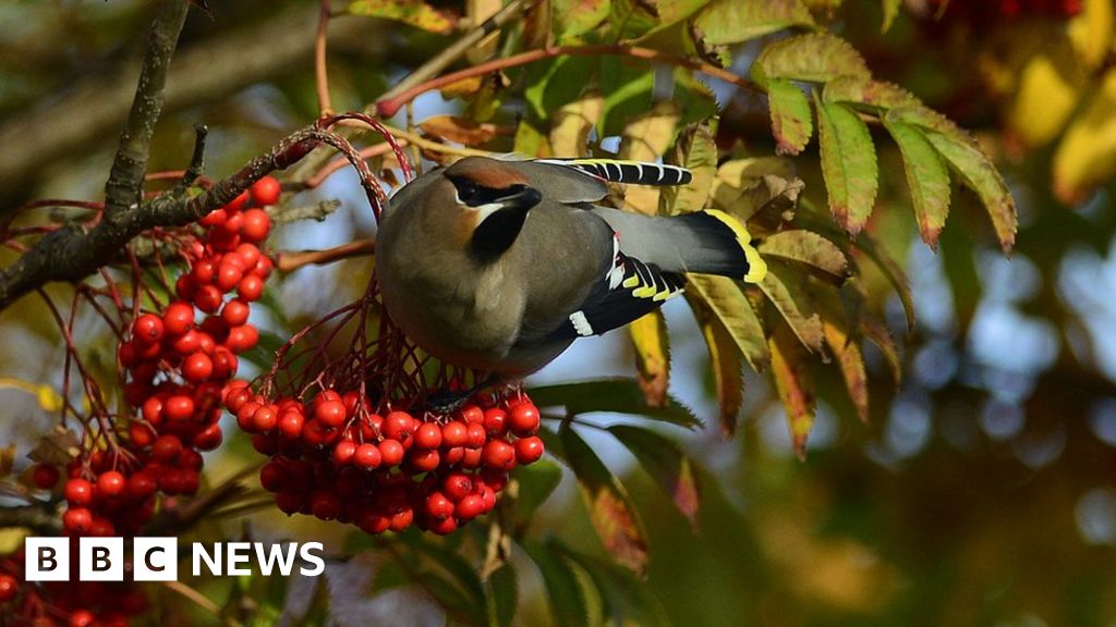 Your Pictures Of Scotland Bbc News