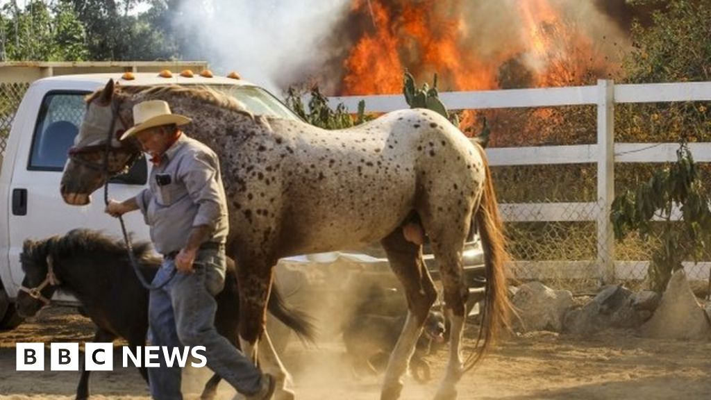 Perilous Wildfires Rage In California Bbc News