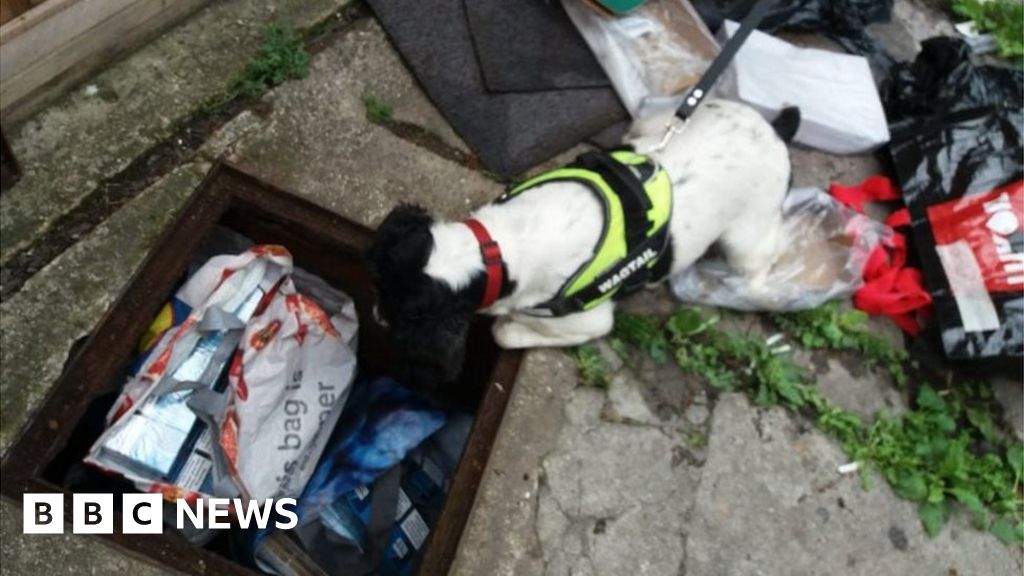 Suffolk Trading Standards Seizes Illegal Cigarettes Found In Manhole