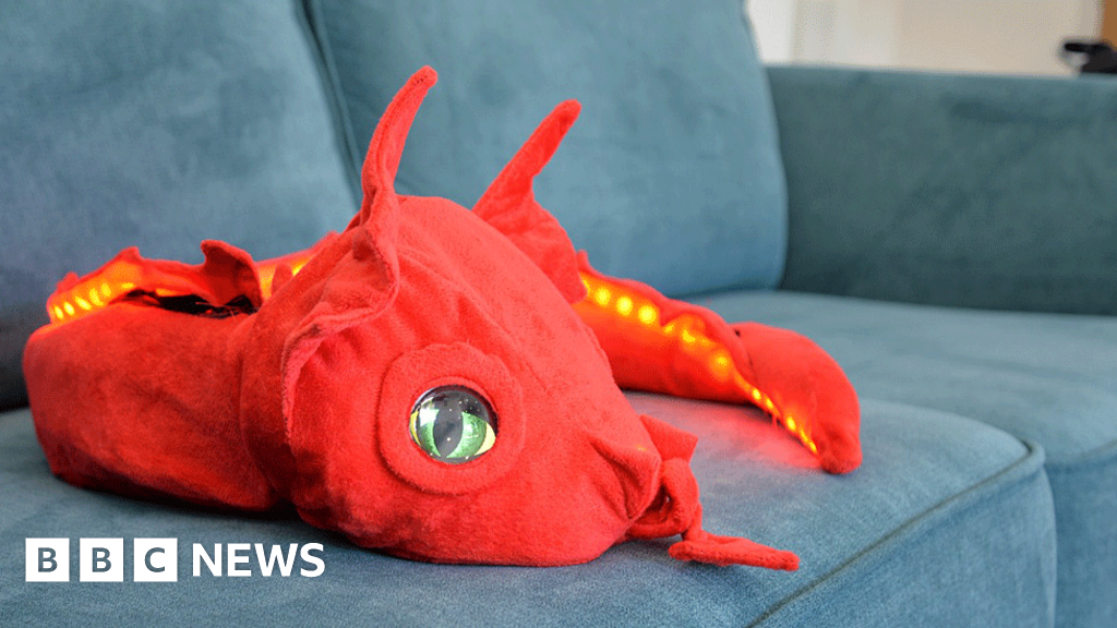 Aberystwyth University S Robotic Dragon To Help With Loneliness Bbc News